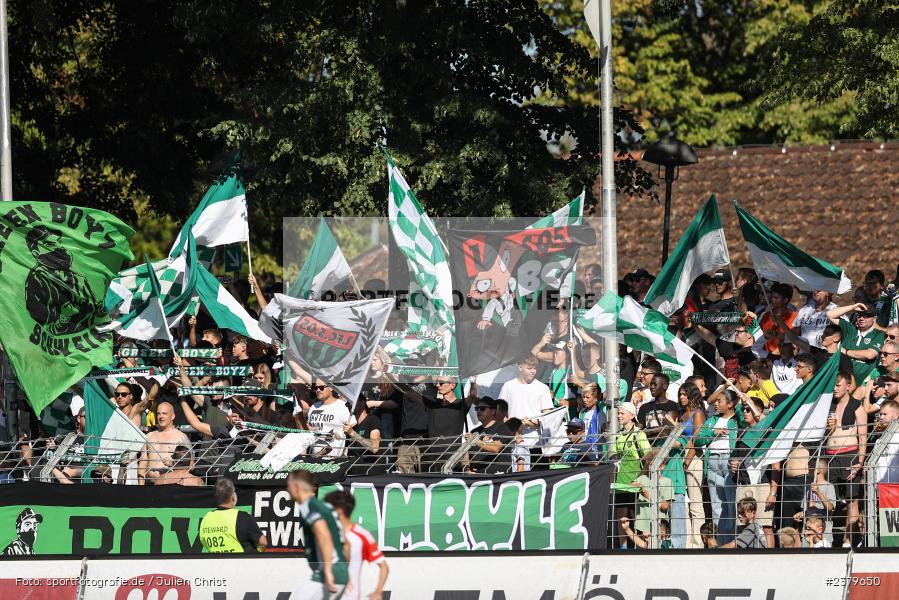 Fans, Willy-Sachs-Stadion, Schweinfurt, 16.09.2023, sport, action, BFV, Fussball, Saison 2023/2024, 10. Spieltag, Regionalliga Bayern, FCB, FCS, FC Bayern München II, 1. FC Schweinfurt 1905 - Bild-ID: 2379650