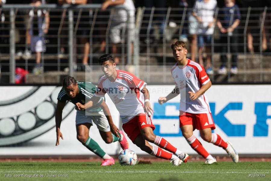 Dominik Ngatie, Willy-Sachs-Stadion, Schweinfurt, 16.09.2023, sport, action, BFV, Fussball, Saison 2023/2024, 10. Spieltag, Regionalliga Bayern, FCB, FCS, FC Bayern München II, 1. FC Schweinfurt 1905 - Bild-ID: 2379739 Dominik Ngatie, Willy-Sachs-Stadion, Schweinfurt, 16.09.2023, sport, action, BFV, Fussball, Saison 2023/2024, 10. Spieltag, Regionalliga Bayern, FCB, FCS, FC Bayern München II, 1. FC Schweinfurt 1905 - Bild-ID: 2379739