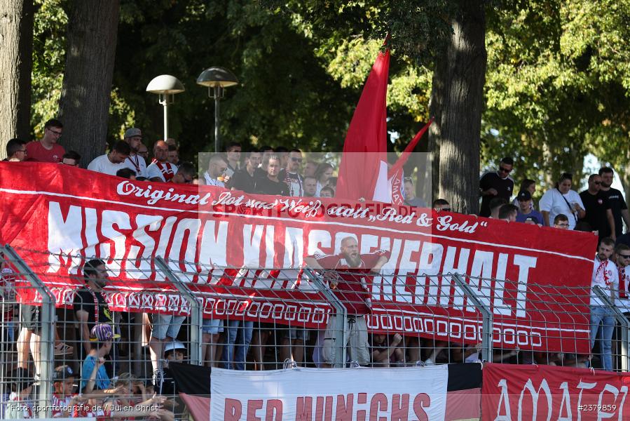 Fans, Willy-Sachs-Stadion, Schweinfurt, 16.09.2023, sport, action, BFV, Fussball, Saison 2023/2024, 10. Spieltag, Regionalliga Bayern, FCB, FCS, FC Bayern München II, 1. FC Schweinfurt 1905 - Bild-ID: 2379859