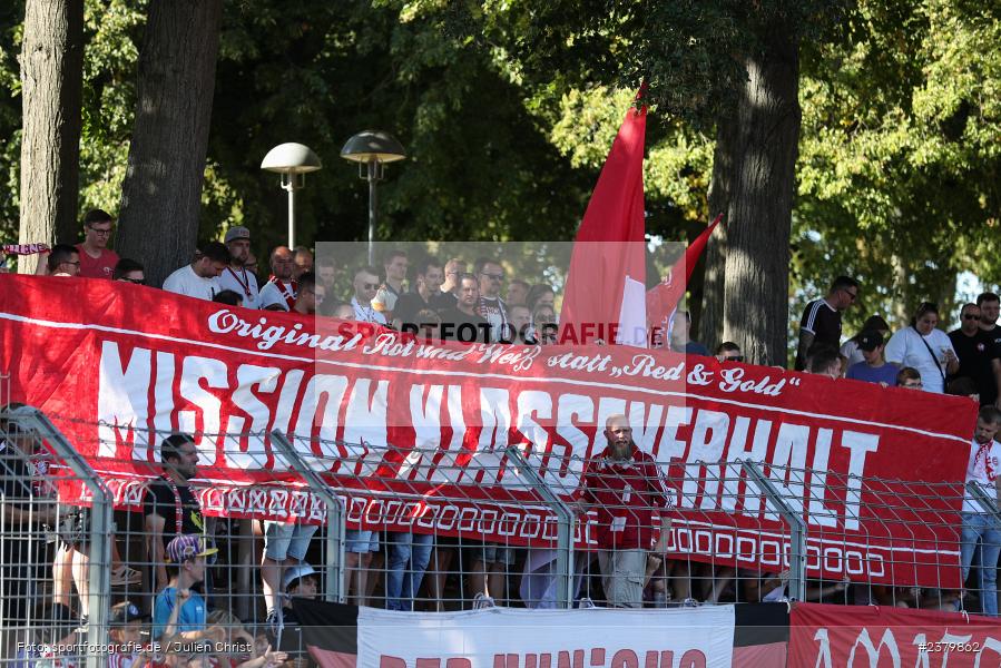 Fans, Willy-Sachs-Stadion, Schweinfurt, 16.09.2023, sport, action, BFV, Fussball, Saison 2023/2024, 10. Spieltag, Regionalliga Bayern, FCB, FCS, FC Bayern München II, 1. FC Schweinfurt 1905 - Bild-ID: 2379862
