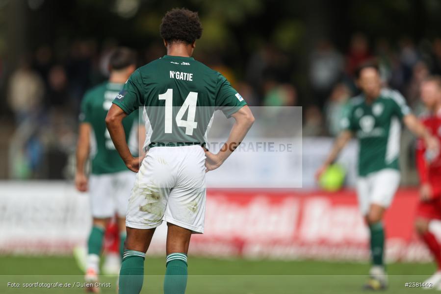 Dominik Ngatie, Sachs Stadion, Schweinfurt, 23.09.2023, sport, action, BFV, Fussball, Saison 2023/2024, 11. Spieltag, Regionalliga Bayern, TGM, FCS, Türkgücü München, 1. FC Schweinfurt 1905 - Bild-ID: 2381442