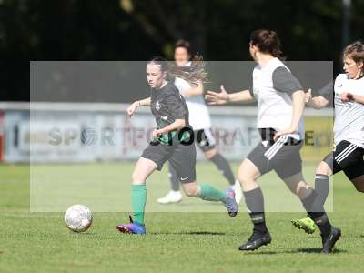 Bild-ID: 2381539