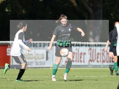 Bild-ID: 2381543