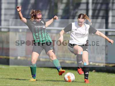 Bild-ID: 2381563