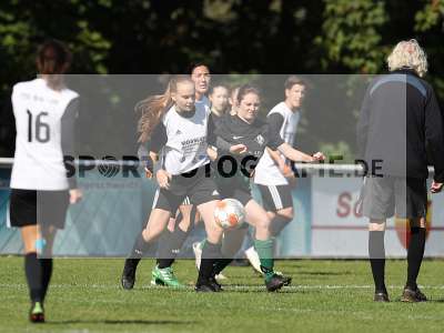 Bild-ID: 2381570