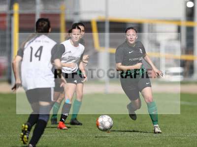 Bild-ID: 2381600