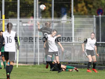 Bild-ID: 2381606