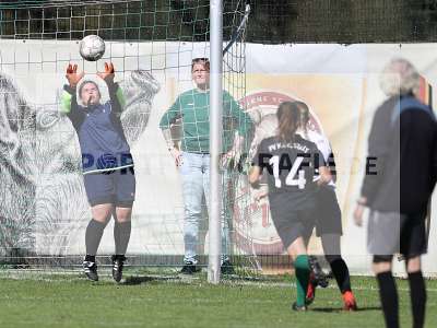 Bild-ID: 2381608