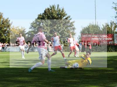 Bild-ID: 2382254