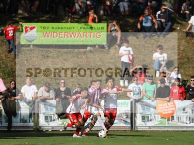 Bild-ID: 2382627