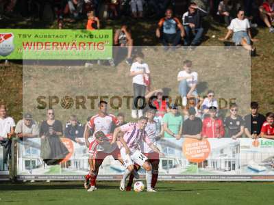 Bild-ID: 2382628
