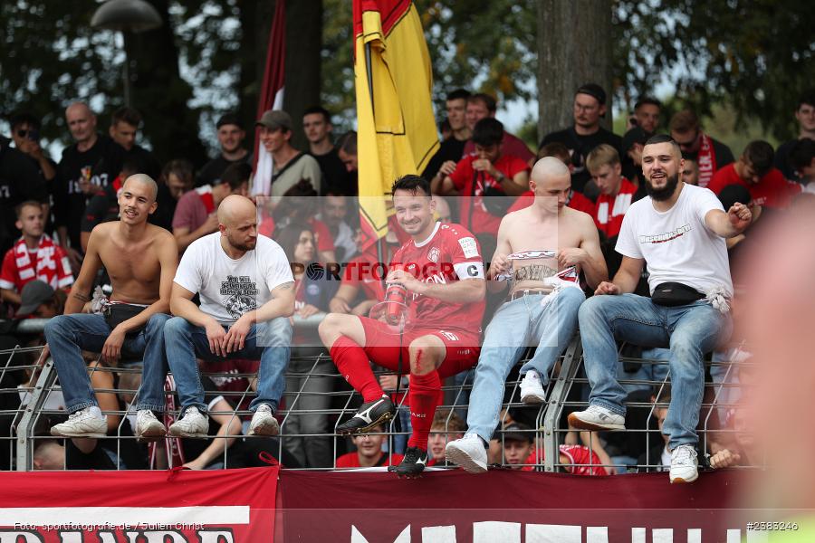 Team, Sachs Stadion, Schweinfurt, 03.10.2023, sport, action, BFV, Saison 2023/2024, Fussball, 13. Spieltag, Regionalliga Bayern, FWK, FCS, FC Würzburger Kickers, 1. FC Schweinfurt 1905 - Bild-ID: 2383246