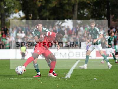 Bild-ID: 2383214