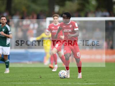 Bild-ID: 2383627