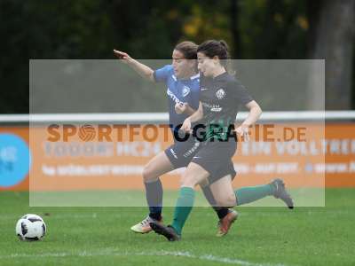 Bild-ID: 2383868