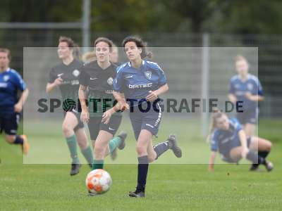 Bild-ID: 2383882