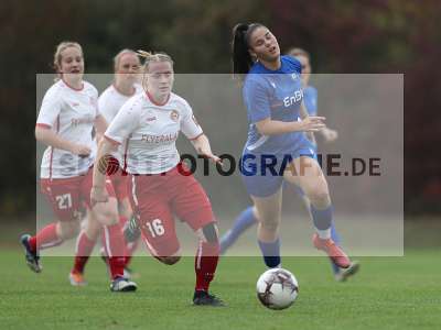 Bild-ID: 2383974