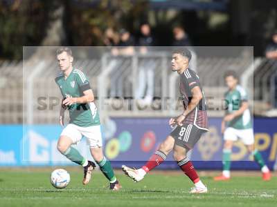 Bild-ID: 2384343