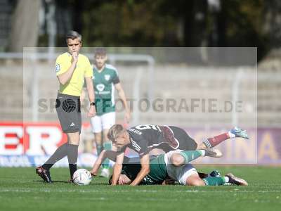 Bild-ID: 2384354