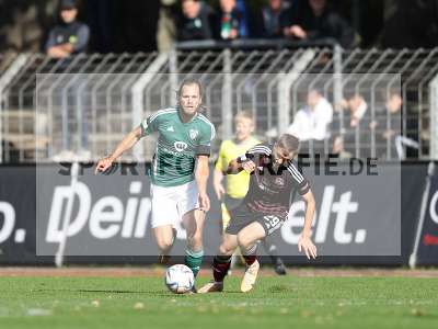Bild-ID: 2384357