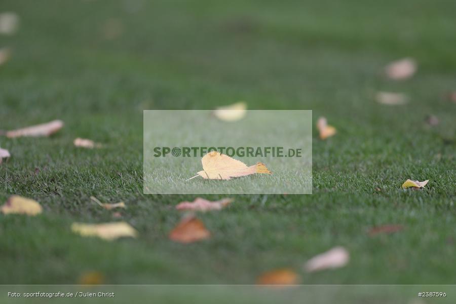 NGN-Arena, Aubstadt, 11.11.2023, BFV, Fussball, sport, action, Saison 2023/2024, 20. Spieltag, Regionalliga Bayern, SVW, TSV, SV Wacker Burghausen, TSV Aubstadt - Bild-ID: 2387596