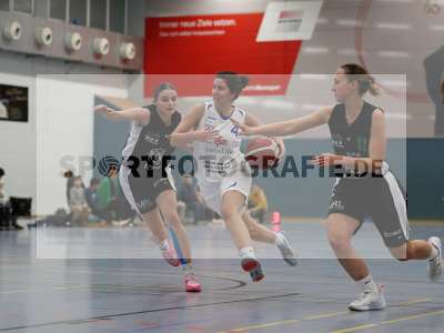 Fotos von TV Marktheidenfeld - USV TU Dresden auf sportfotografie.de