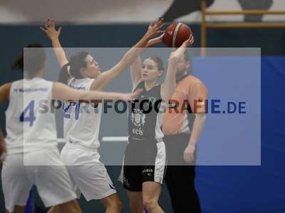 Fotos von TV Marktheidenfeld - USV TU Dresden auf sportfotografie.de