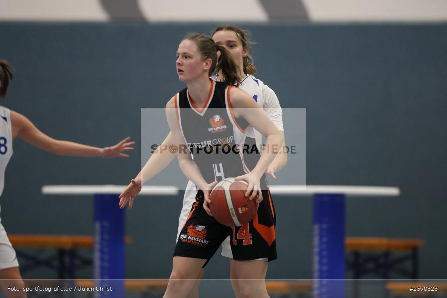 Hans-Wilhelm-Renkhoff-Halle, Marktheidenfeld, 16.12.2023, RLS, sport, action, Saison 2023/2024, Basketball, Regionalliga Damen HR-Nord, DJK, TVM, DJK Neustadt an der Waldnaab, TV Marktheidenfeld - Bild-ID: 2390323