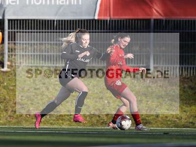 Bild-ID: 2392617
