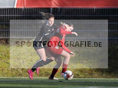 Bild-ID: 2392618