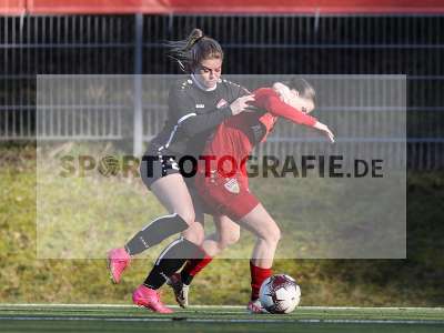 Bild-ID: 2392619