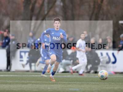 Bild-ID: 2392750