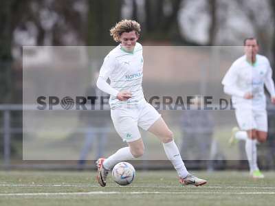 Bild-ID: 2393823