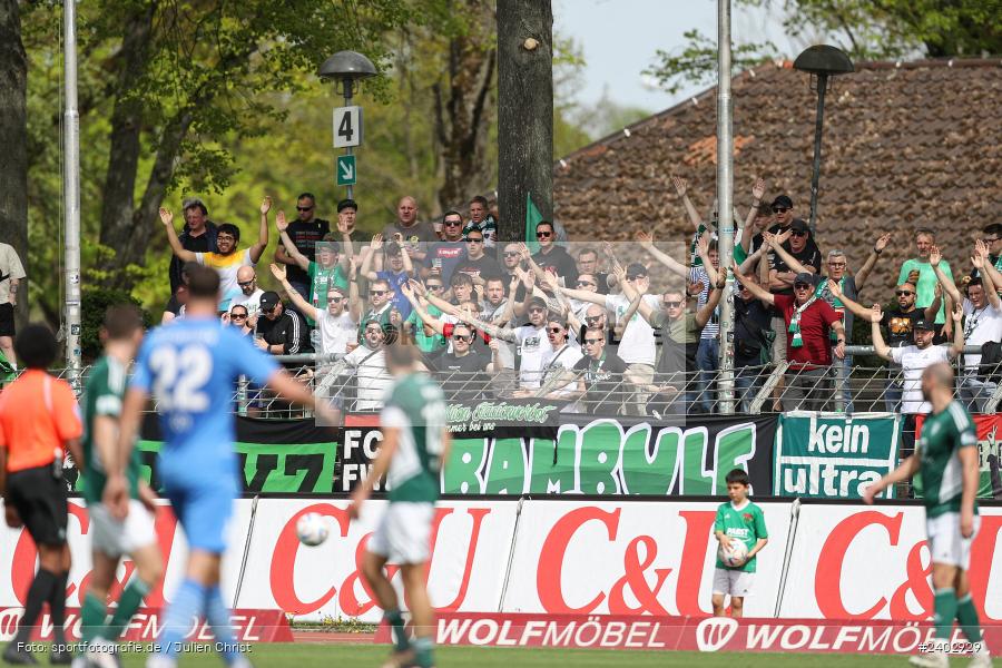 action, Sport, Schweinfurt, Sachs-Stadion, Regionalliga Bayern, Fussball, FVI, FV Illertissen, FCS, BFV, April 2024, 29. Spieltag, 13.04.2024, 1. FC Schweinfurt 1905 - Bild-ID: 2402929