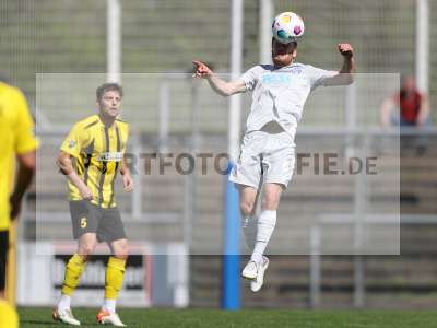 Bild-ID: 2402167