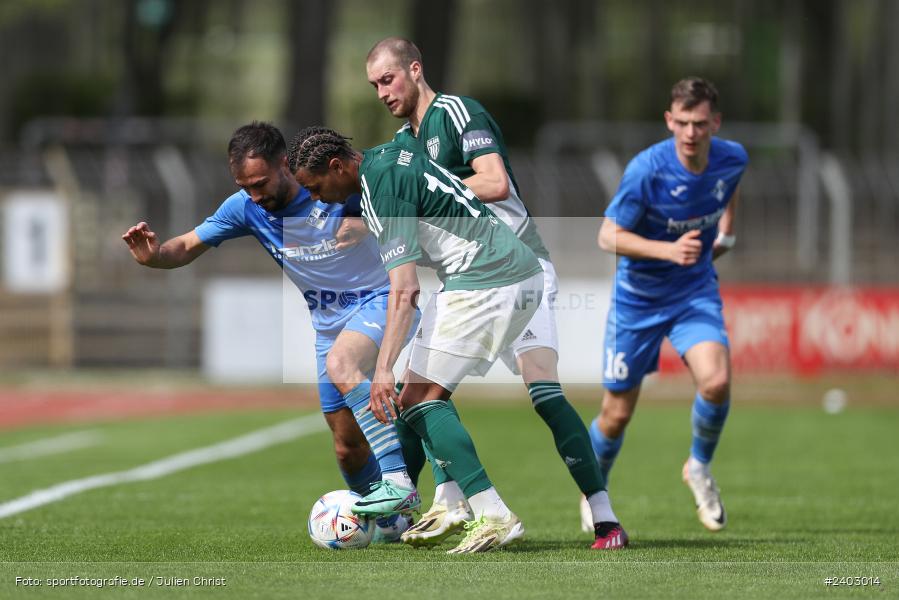 action, Sport, Schweinfurt, Sachs-Stadion, Regionalliga Bayern, Fussball, FVI, FV Illertissen, FCS, BFV, April 2024, 29. Spieltag, 13.04.2024, 1. FC Schweinfurt 1905 - Bild-ID: 2403014