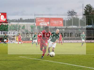Bild-ID: 2404599