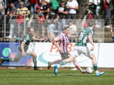 Bild-ID: 2406202
