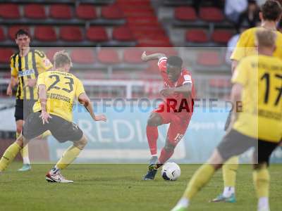 Bild-ID: 2407291