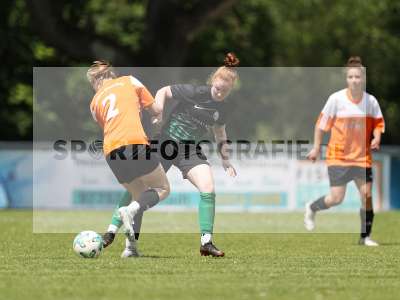 Bild-ID: 2415378