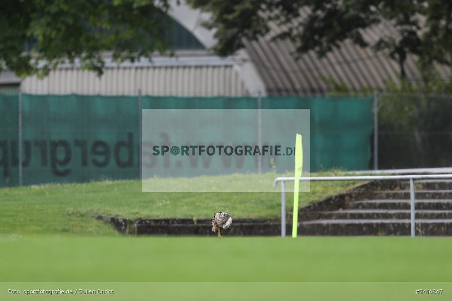 Nebenplatz 9, Sachs Stadion, Schweinfurt, 30.06.2024, sport, action, BFV, Fussball, Regionalfreundschaftsspiele, Regionalliga Südwest, Regionalliga Bayern, SGE, FCS, Eintracht Frankfurt U21, 1. FC Schweinfurt 1905 - Bild-ID: 2416867 Nebenplatz 9, Sachs Stadion, Schweinfurt, 30.06.2024, sport, action, BFV, Fussball, Regionalfreundschaftsspiele, Regionalliga Südwest, Regionalliga Bayern, SGE, FCS, Eintracht Frankfurt U21, 1. FC Schweinfurt 1905 - Bild-ID: 2416867