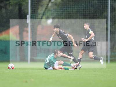 Fotos von 1. FC Schweinfurt 1905 - Eintracht Frankfurt (U21) auf sportfotografie.de