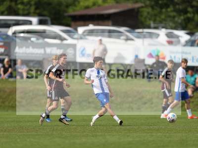 Bild-ID: 2418605