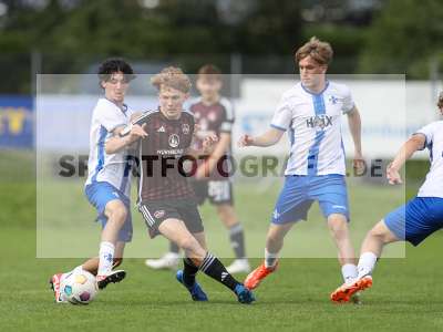 Fotos von 1. FC Nürnberg - SV Darmstadt 98 (U19) auf sportfotografie.de