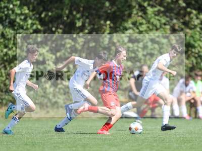 Fotos von 1. FC Heidenheim - SV Viktoria Aschaffenburg auf sportfotografie.de