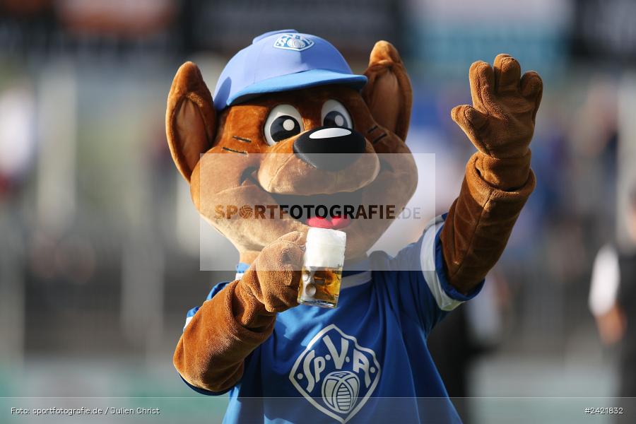 Stadion am Schönbusch, Aschaffenburg, 26.07.2024, sport, action, Fussball, BFV, 2. Spieltag, Regionalliga Bayern, SVW, SVA, SV Wacker Burghausen, SV Viktoria Aschaffenburg - Bild-ID: 2421832