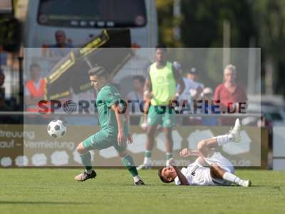 Bild-ID: 2421019