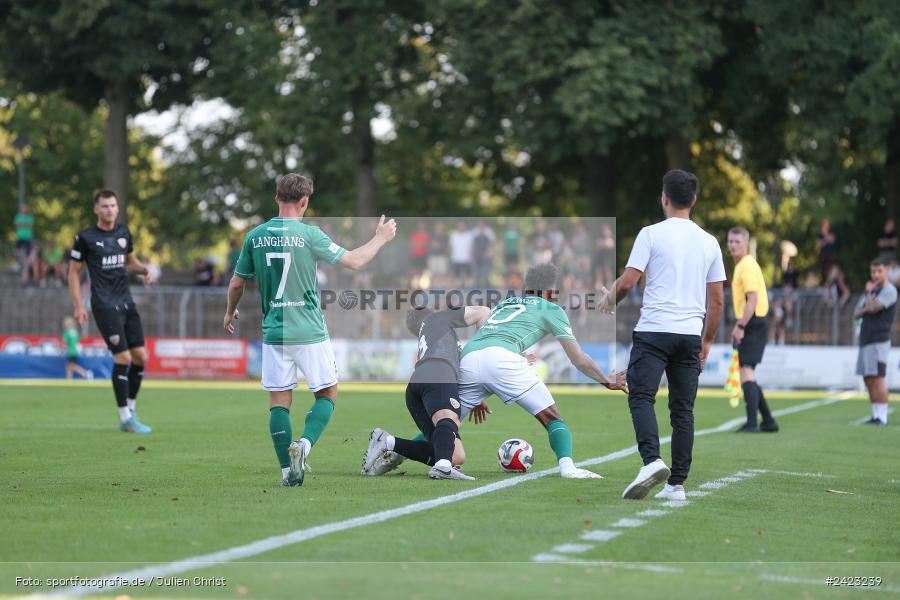 Willy-Sachs-Stadion, Schweinfurt, 02.08.2024, sport, action, Fussball, BFV, 3. Spieltag, Regionalliga Bayern, TSV, FCS, TSV Buchbach, 1. FC Schweinfurt 1905 - Bild-ID: 2423239