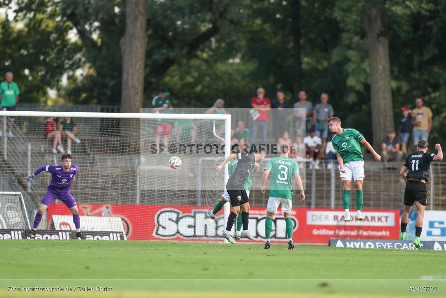 Willy-Sachs-Stadion, Schweinfurt, 02.08.2024, sport, action, Fussball, BFV, 3. Spieltag, Regionalliga Bayern, TSV, FCS, TSV Buchbach, 1. FC Schweinfurt 1905 - Bild-ID: 2423702