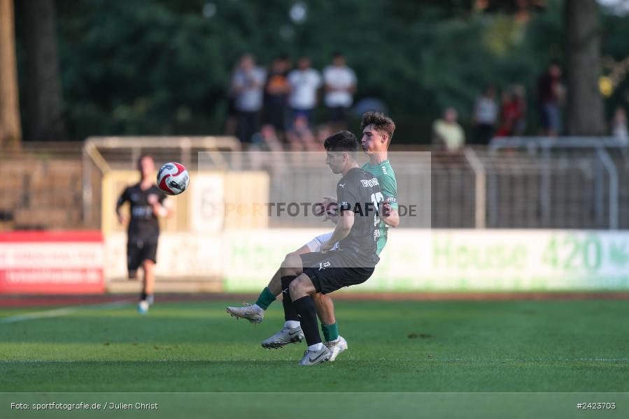 Willy-Sachs-Stadion, Schweinfurt, 02.08.2024, sport, action, Fussball, BFV, 3. Spieltag, Regionalliga Bayern, TSV, FCS, TSV Buchbach, 1. FC Schweinfurt 1905 - Bild-ID: 2423703 Willy-Sachs-Stadion, Schweinfurt, 02.08.2024, sport, action, Fussball, BFV, 3. Spieltag, Regionalliga Bayern, TSV, FCS, TSV Buchbach, 1. FC Schweinfurt 1905 - Bild-ID: 2423703
